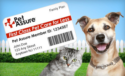 Animal Health Insurance for your pet Ferret