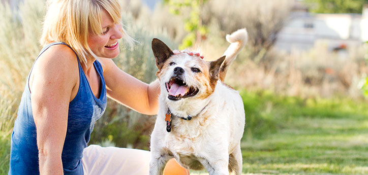 Choosing The Right Pet For You