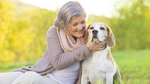 Find Pet Health Insurance for a Low Cost