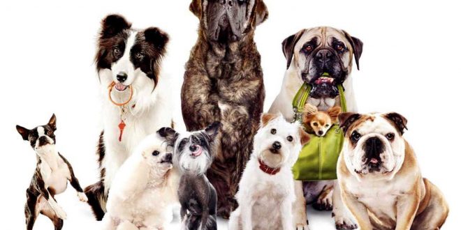 GENERAL HISTORY OF DOGS.
