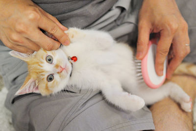 Grooming Your Cat