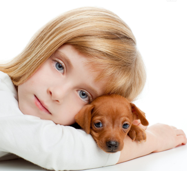 Owning a pet is a Big responsibility