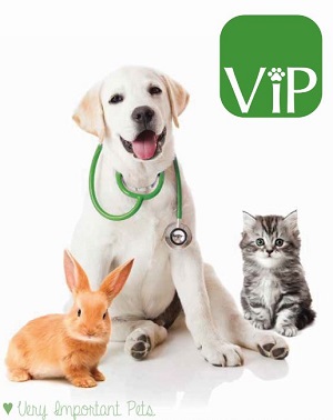 Pet Health Insurance for VIP’s