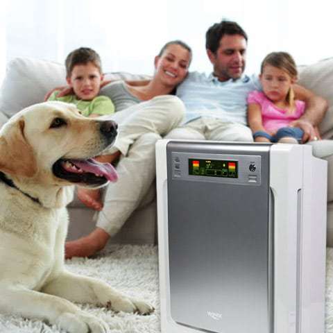 Pet Owners: The Benefits of Using an Air Purifier
