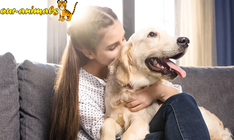 Some Tips for Keeping Your Airedale Terrier Pet Dog Well-Behaved