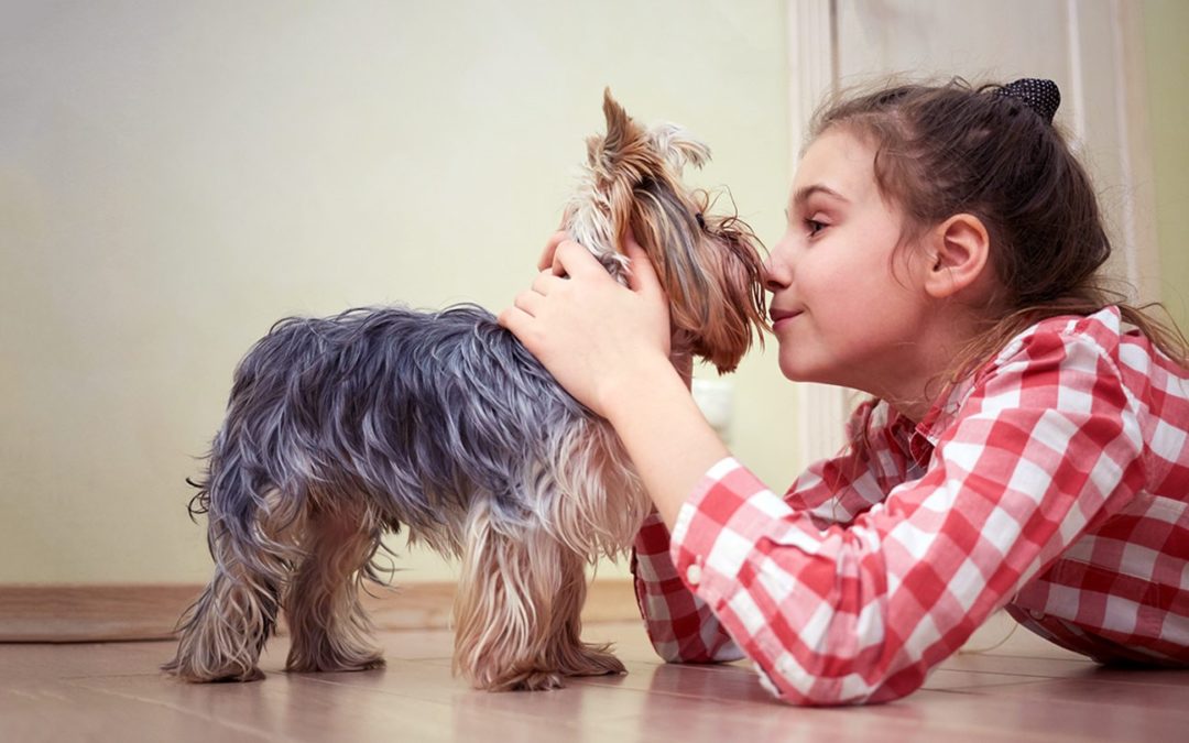 Tips for Managing Pet Allergies
